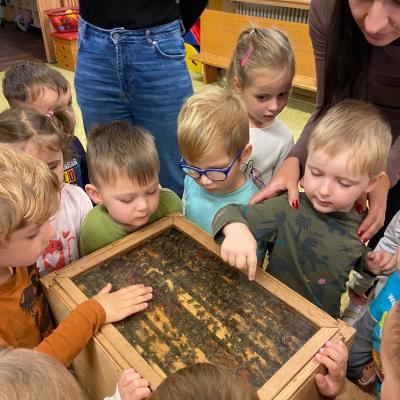 Vcelky V Ms 20241023 01