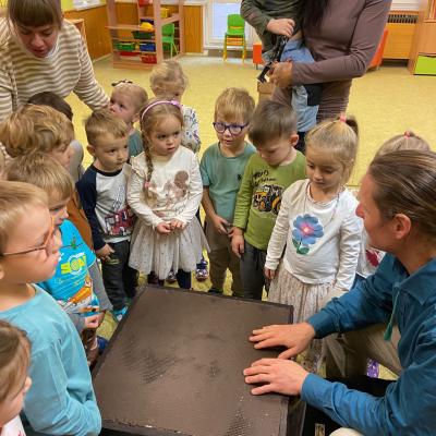 Vcelky V Ms 20241023 05