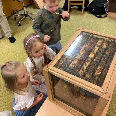 Vcelky V Ms 20241023 07