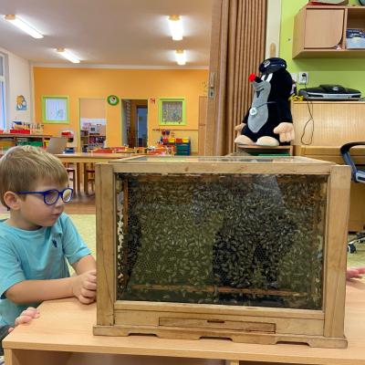 Vcelky V Ms 20241023 08